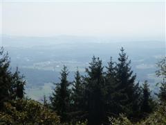 Ausblick